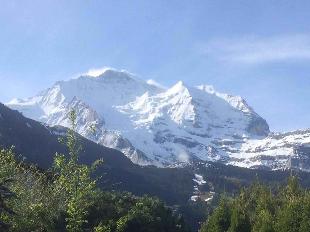Chalet Protea Wengen Værelse billede