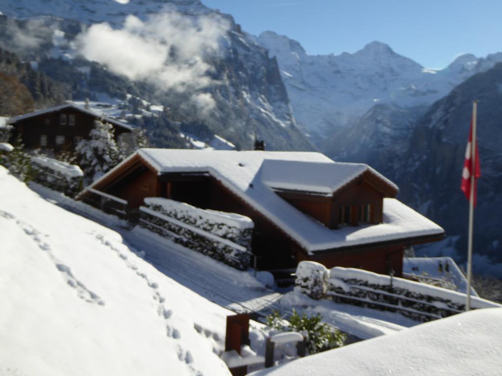 Chalet Protea Wengen Eksteriør billede